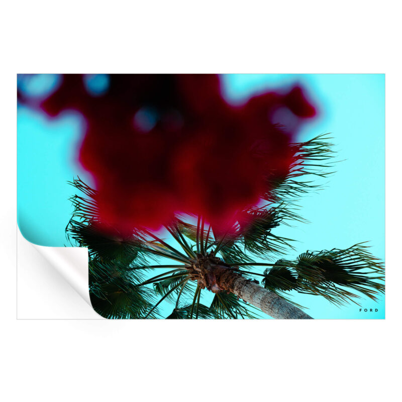 Hustle and FLOWers Red Wall Art by Nick Ford