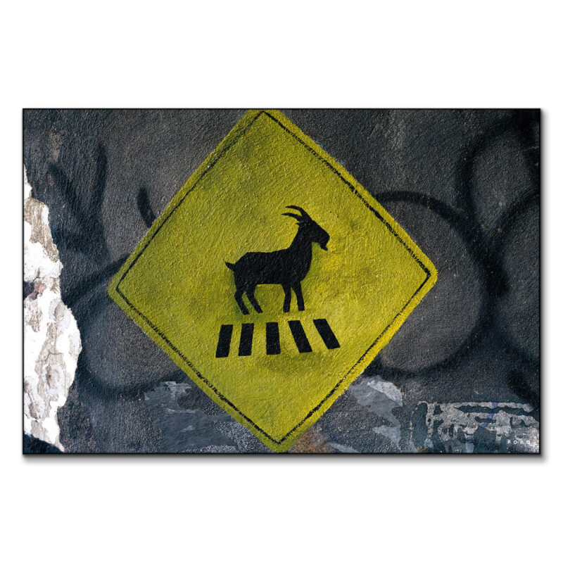 G.O.A.T. Yellow Wall Art by Nick Ford