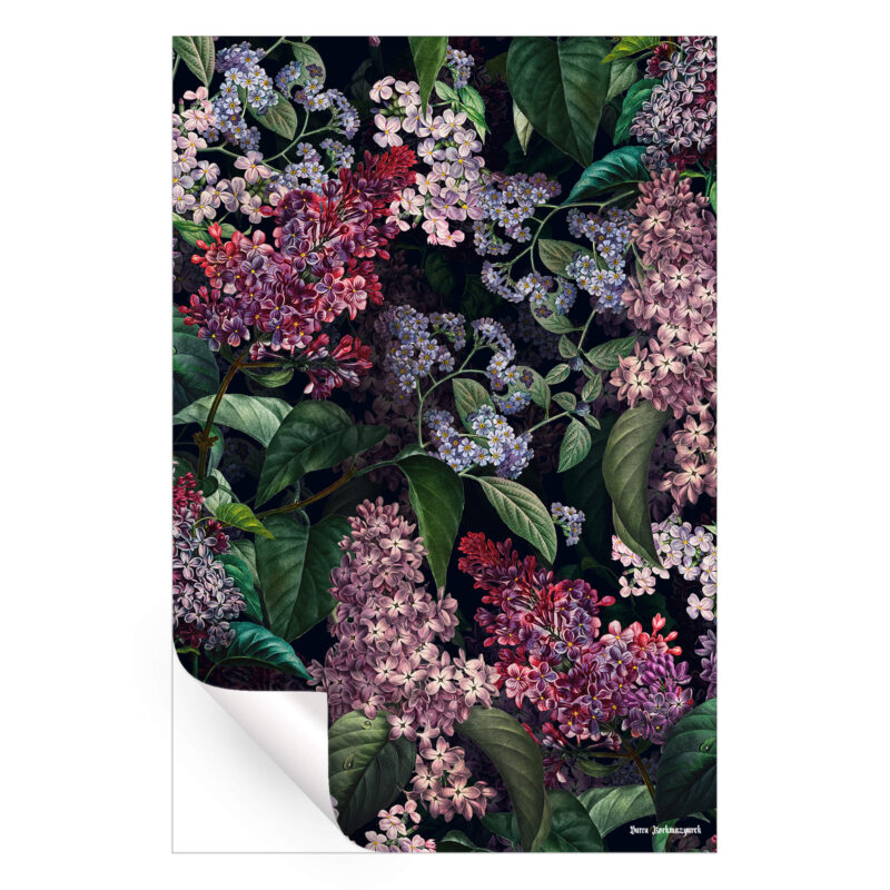 Dark botanical artwork featuring lush lilac and hydrangea blooms intertwined with deep green foliage against a black background