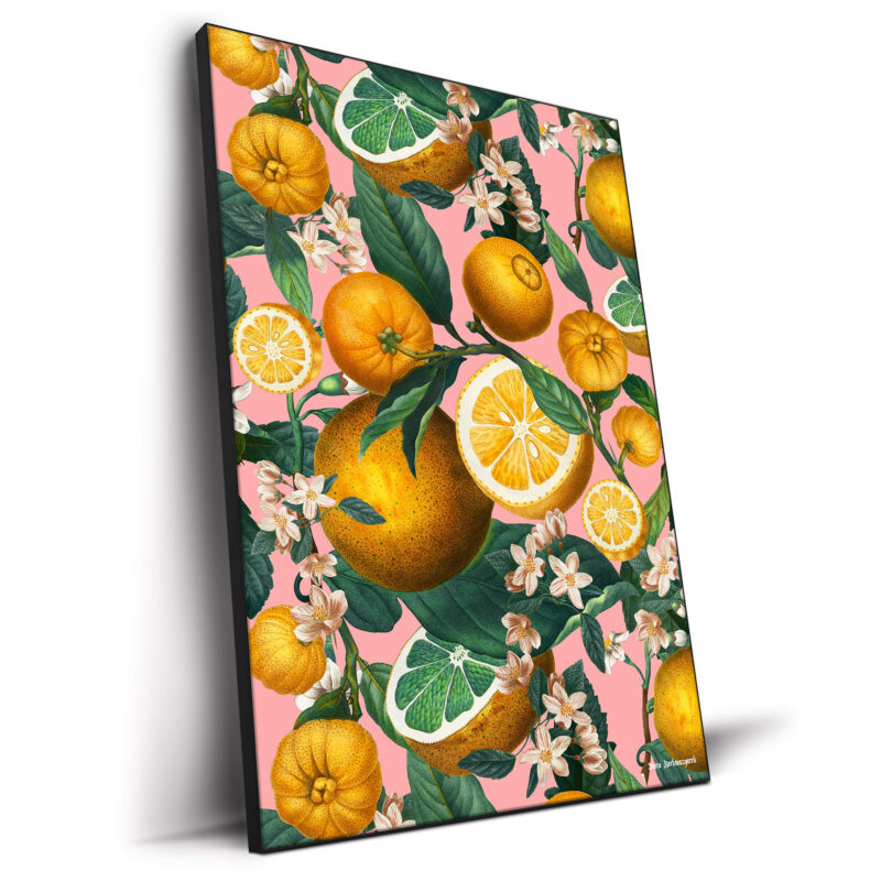 Vibrant botanical artwork featuring ripe oranges, sliced citrus, green leaves, and delicate blossoms against a soft pink background.
