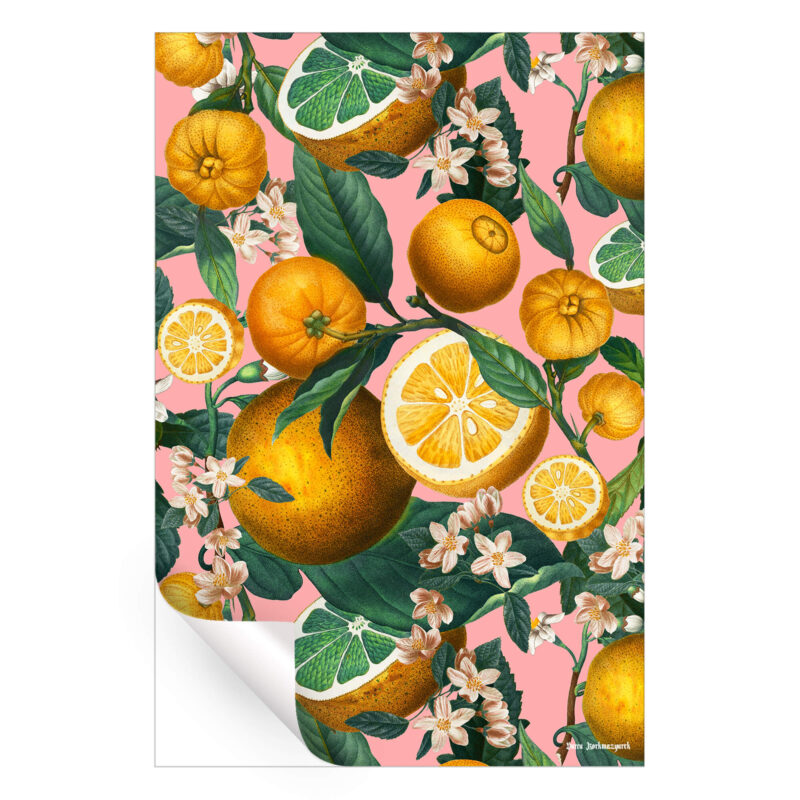 Vibrant botanical artwork featuring ripe oranges, citrus slices, and delicate blossoms against a soft pink background.