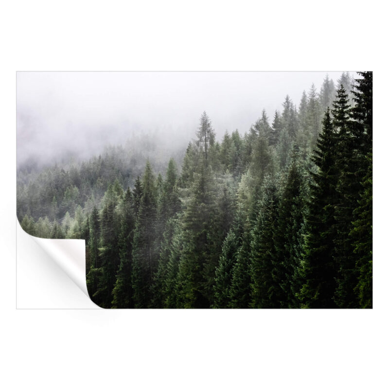 Misty Mountain Top Green Wall Art by The Jackson Collective
