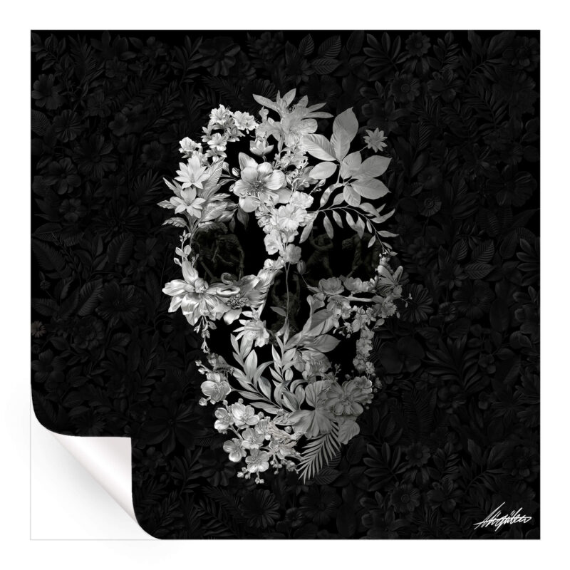 Chrome Skull Black and White Wall Art by Ali Gulec