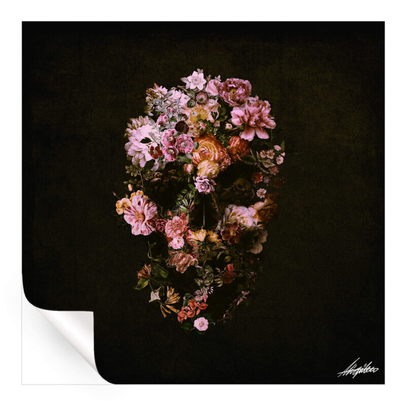 Peachy Skull Dark Wall Art by Ali Gulec