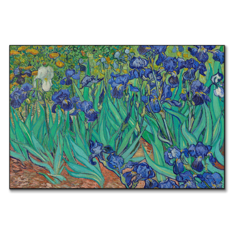 Field of Irises Green Wall Art by The Classics Collective