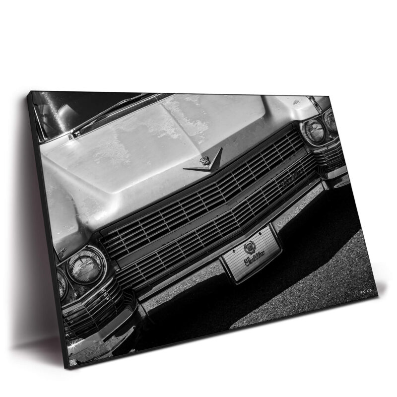 Cadillac Jack Black and White Wall Decor by Nick Ford