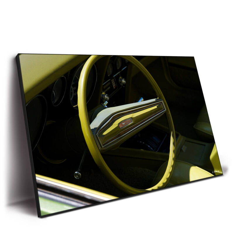 Bronco Baby Yellow Wall Decor by Nick Ford