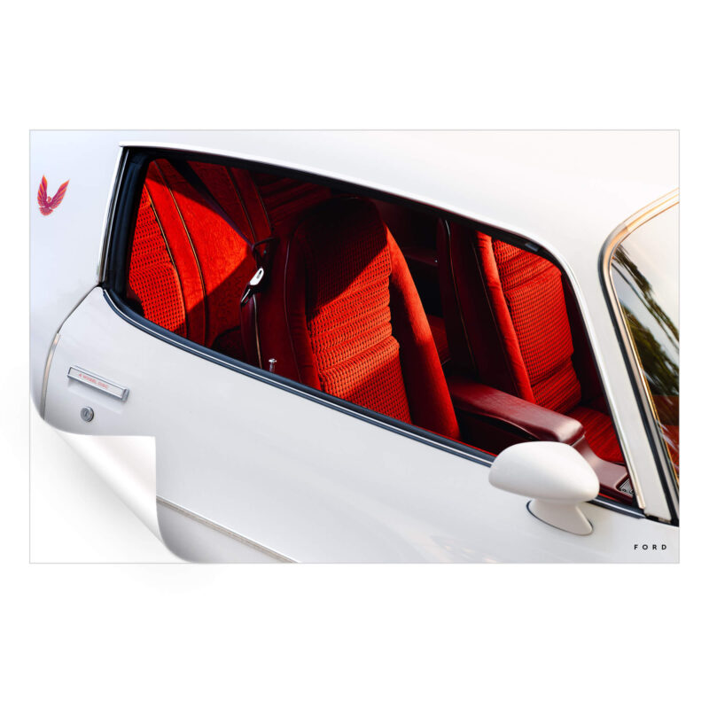 Firebird Red Wall Art by Nick Ford