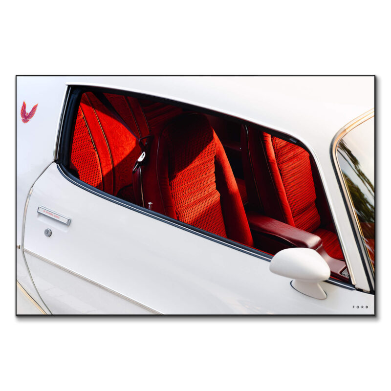 Firebird Red Wall Art by Nick Ford