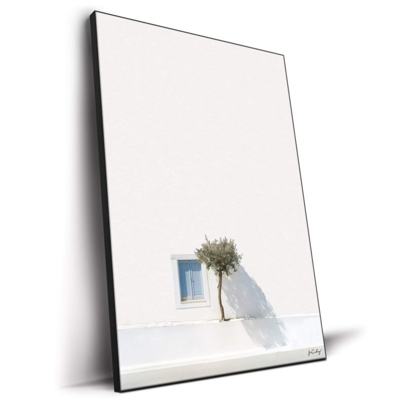 Greek Tree White Wall Decor by Marcus Cederberg