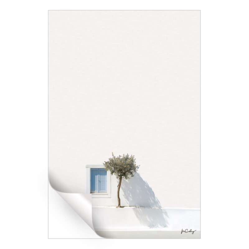Greek Tree White Wall Art by Marcus Cederberg