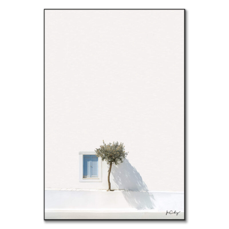 Greek Tree White Wall Art by Marcus Cederberg