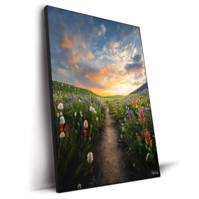 Meadow Sunrise Colorful Wall Decor by Paige Tingey