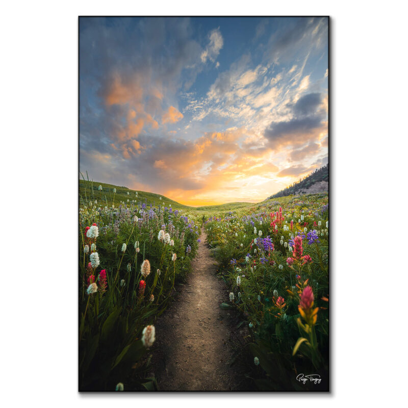 Meadow Sunrise Colorful Wall Art by Paige Tingey