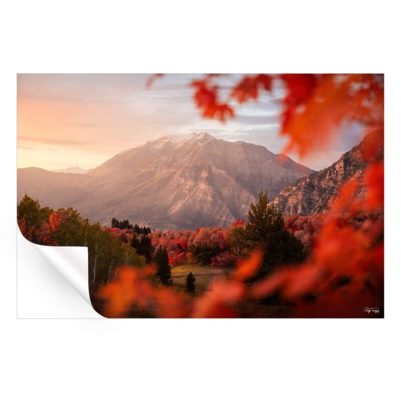 Mount Timp Fall Warm Wall Art by Paige Tingey