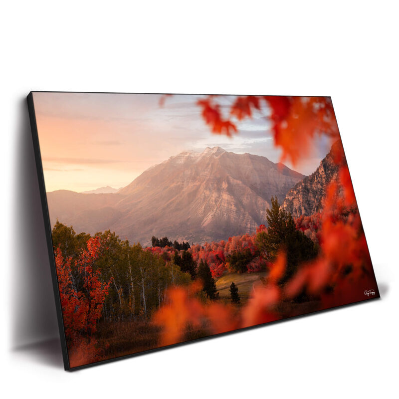 Mount Timp Fall Warm Wall Decor by Paige Tingey