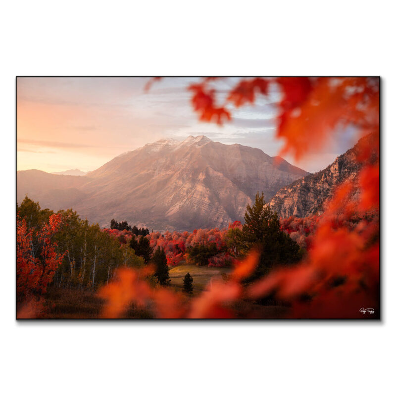 Mount Timp Fall Warm Wall Art by Paige Tingey