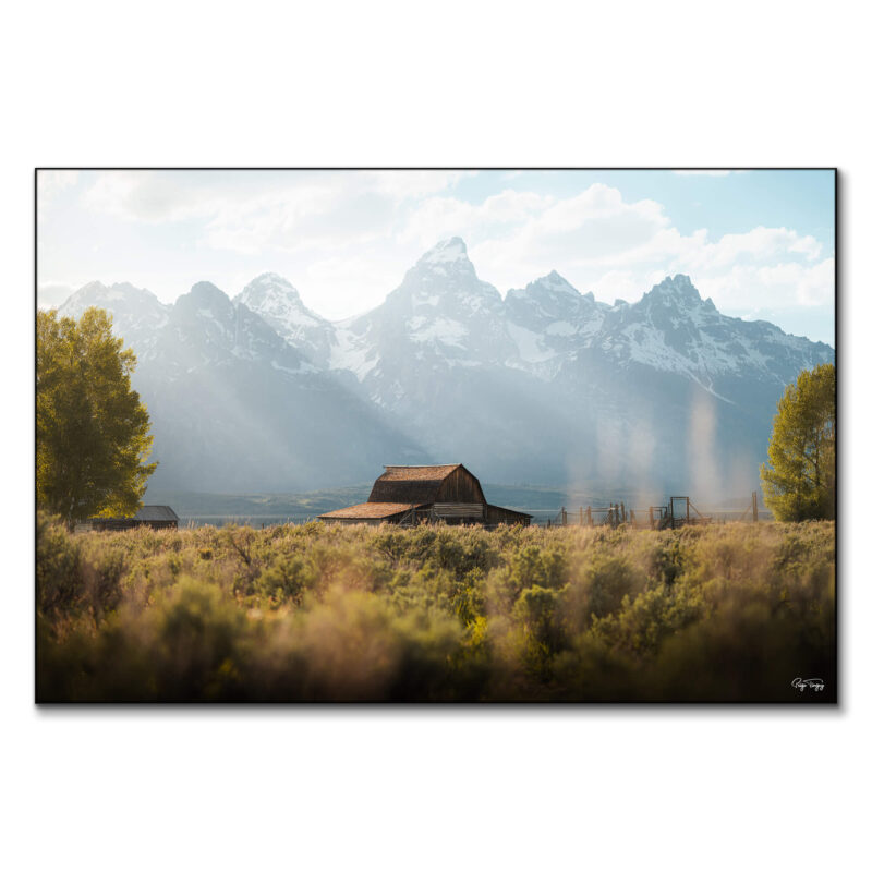 Mormon Row Green Wall Art by Paige Tingey