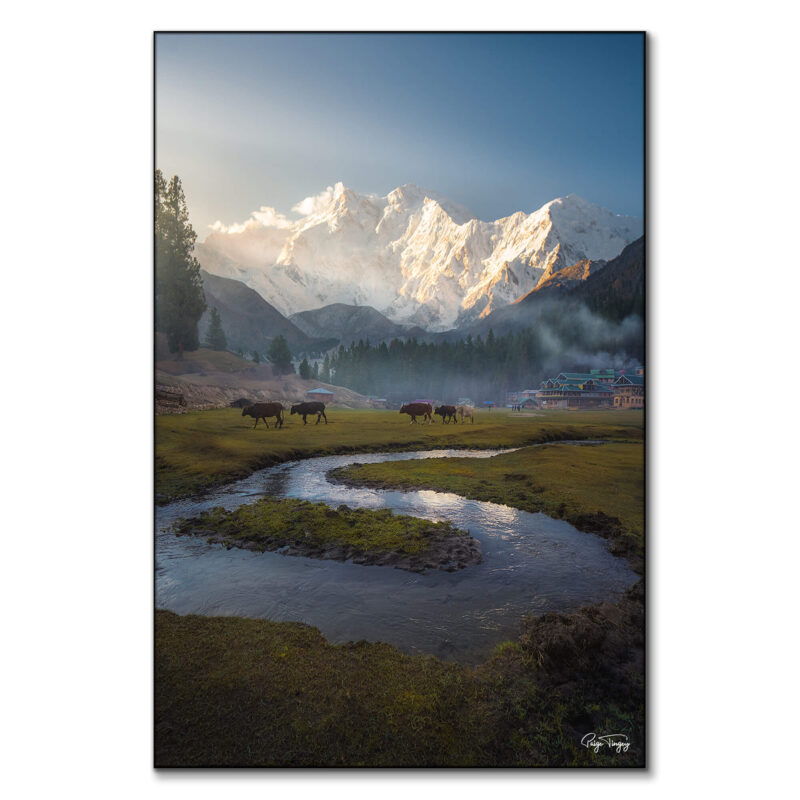 Fairy Meadows Green Wall Art by Paige Tingey