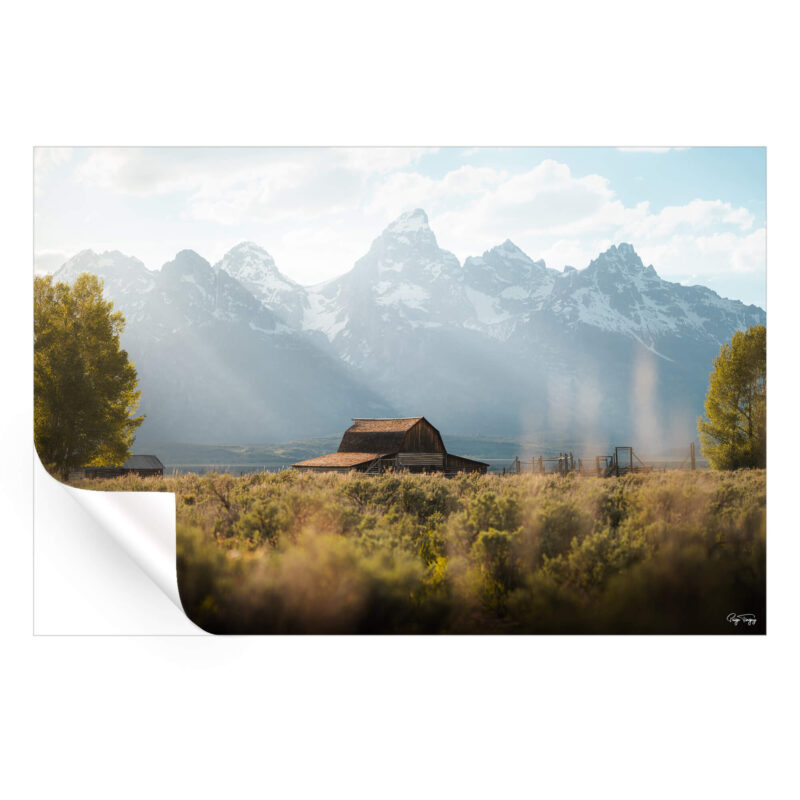 Mormon Row Green Wall Art by Paige Tingey