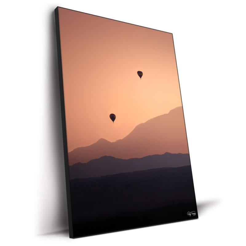 Two Hot Air Balloons Orange Wall Decor by Paige Tingey