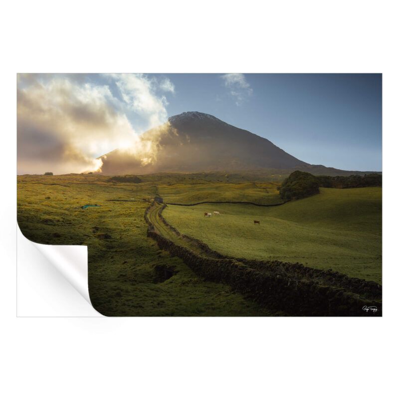 Pico Island Green Wall Art by Paige Tingey