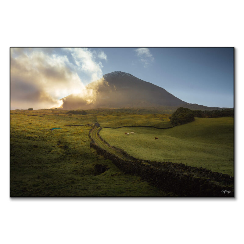 Pico Island Green Wall Art by Paige Tingey