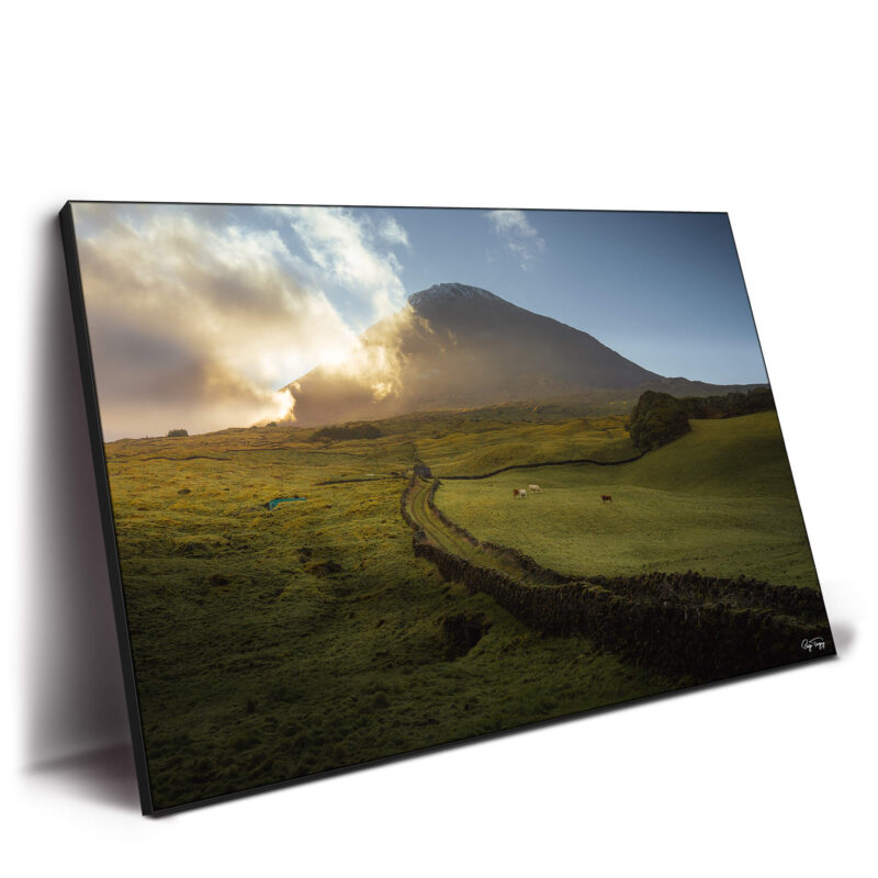 Pico Island Green Wall Decor by Paige Tingey