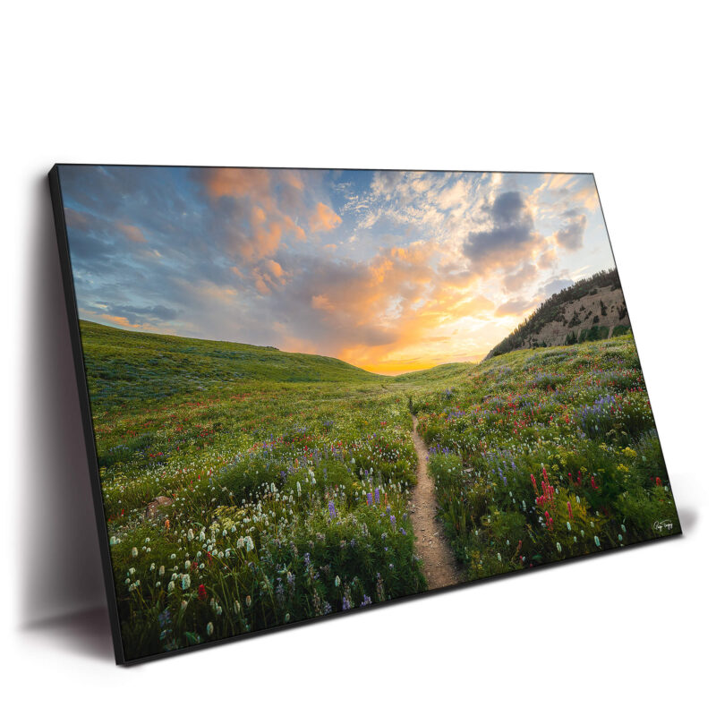 Wildflower Meadow Colorful Wall Decor by Paige Tingey