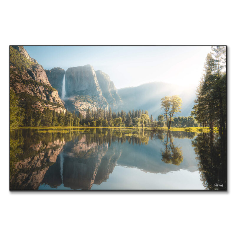 Yosemite Morning Green Wall Art by Paige Tingey