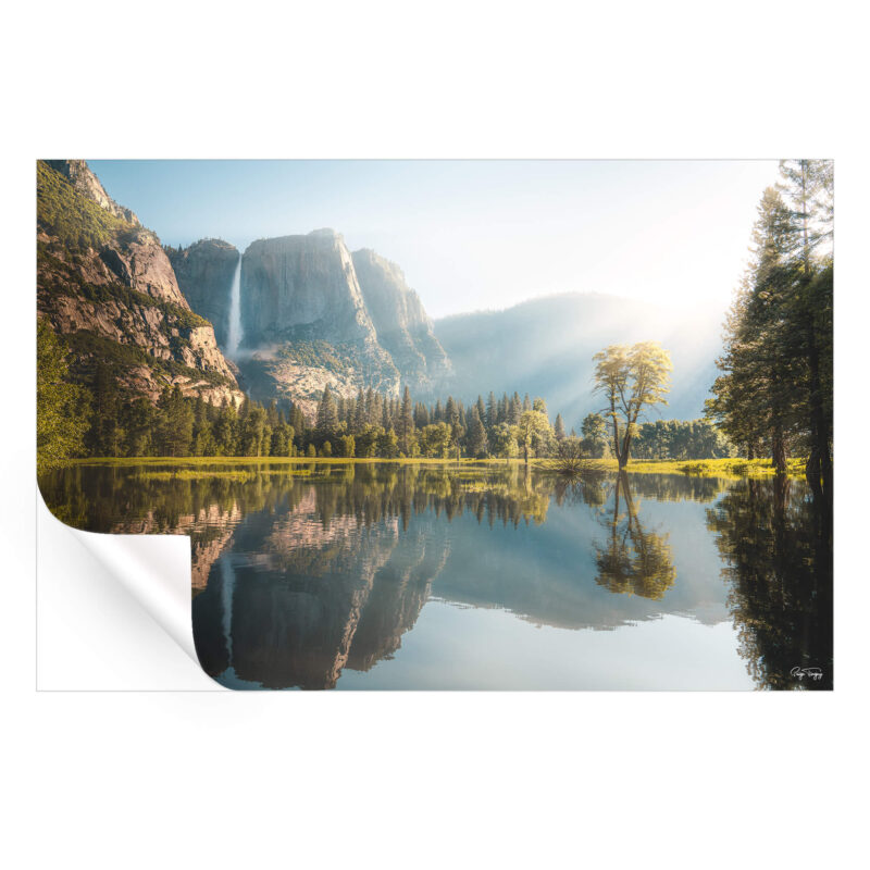 Yosemite Morning Green Wall Art by Paige Tingey