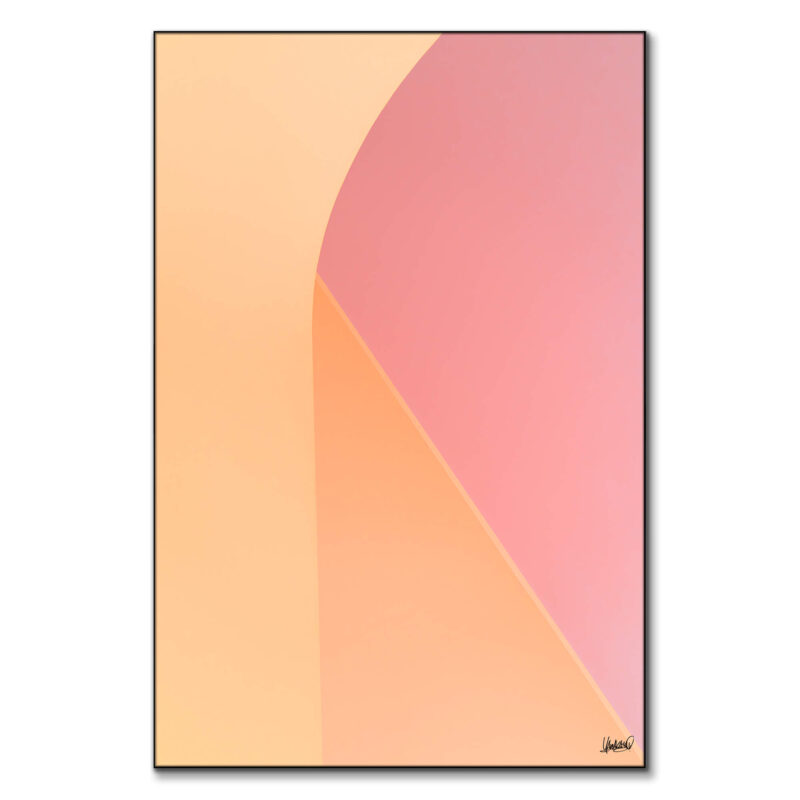 Magnolia Pink Wall Art by Yamakasino