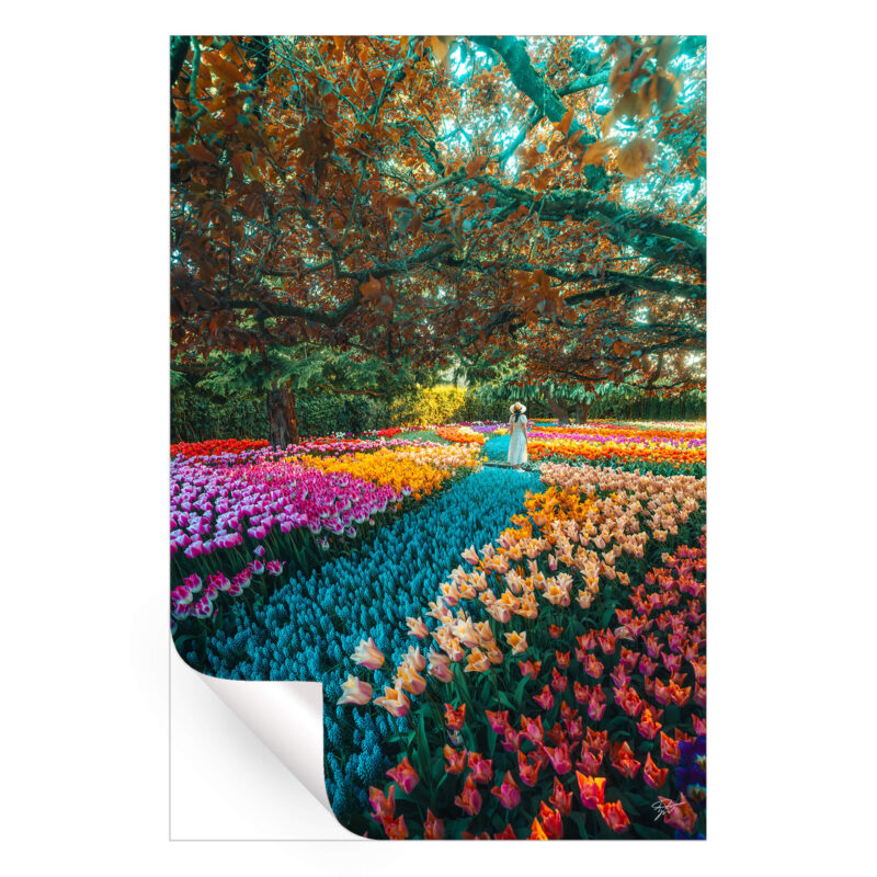 Lost in a Fairytale Vibrant Wall Art by Zach Doehler