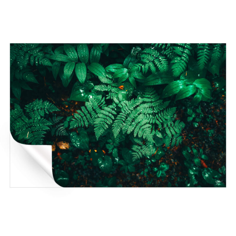 Droplets of Time Green Wall Art by Zach Doehler