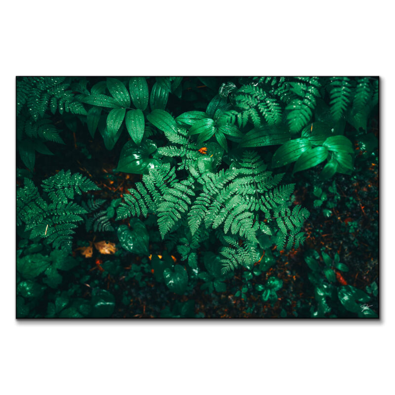 Droplets of Time Green Wall Art by Zach Doehler