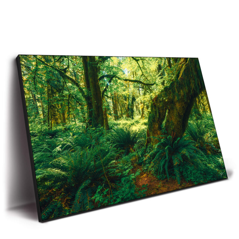 The Ancient Grove Green Wall Decor by Zach Doehler