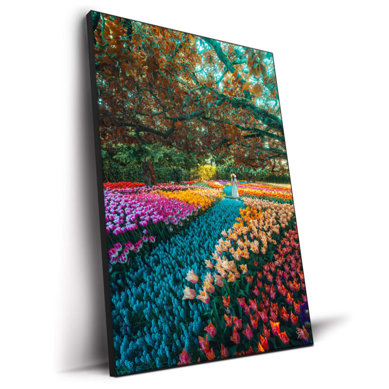 Lost in a Fairytale Vibrant Wall Decor by Zach Doehler