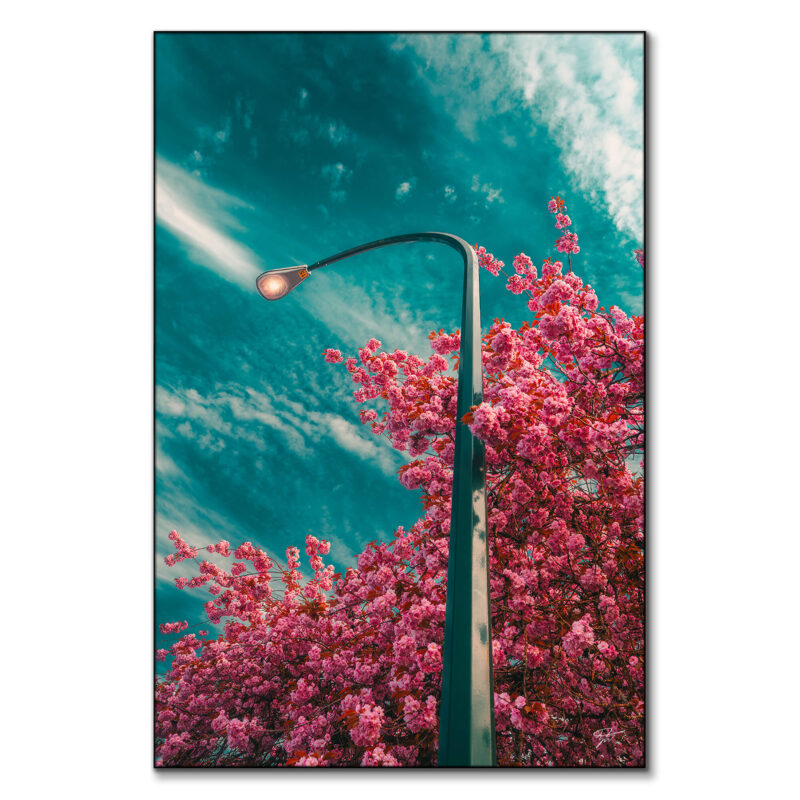 Enlightened Vibrant Wall Art by Zach Doehler