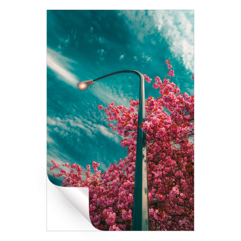 Enlightened Vibrant Wall Art by Zach Doehler