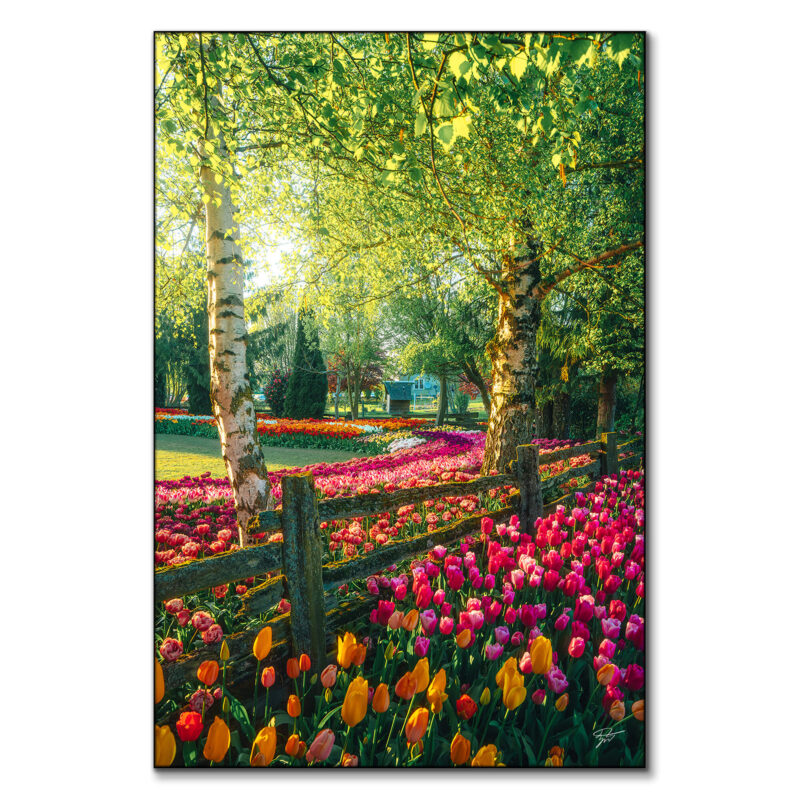 A Garden of Dreams Vibrant Wall Art by Zach Doehler