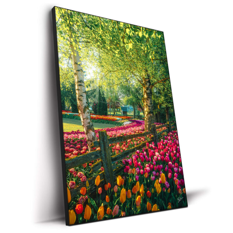 A Garden of Dreams Vibrant Wall Decor by Zach Doehler