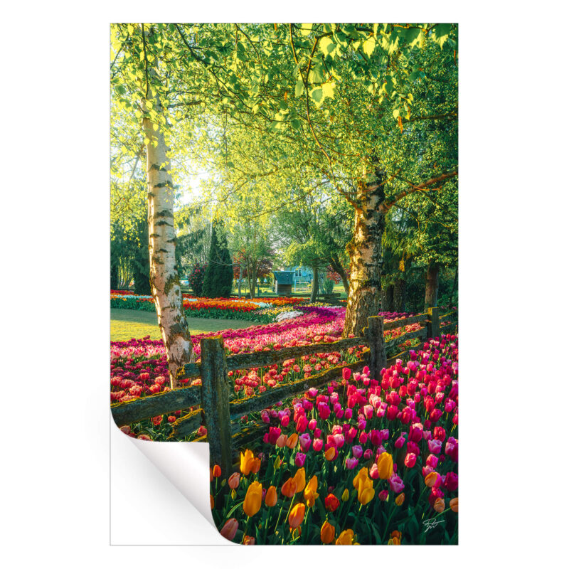 A Garden of Dreams Vibrant Wall Art by Zach Doehler