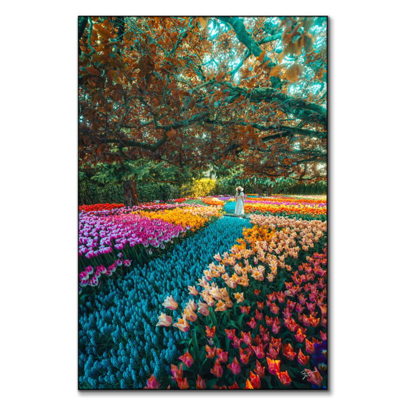 Lost in a Fairytale Vibrant Wall Art by Zach Doehler