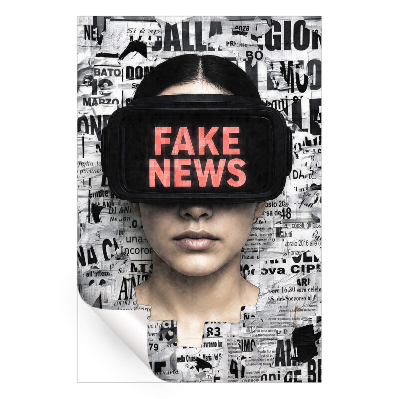 Fake News Black and White Wall Art by Underdott