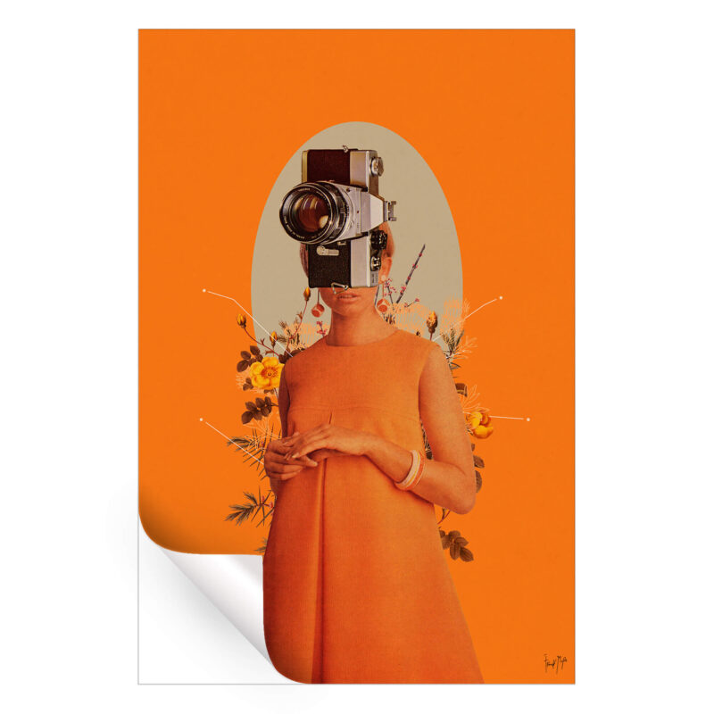 Camerahead Orange Wall Art by Frank Moth