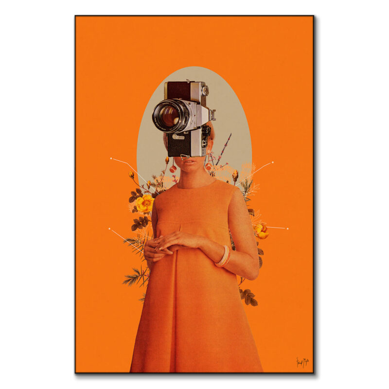Camerahead Orange Wall Art by Frank Moth