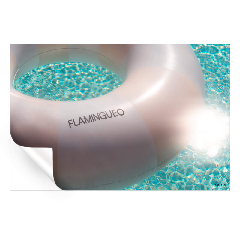 Flamingueo Cool Wall Art by Nick Ford