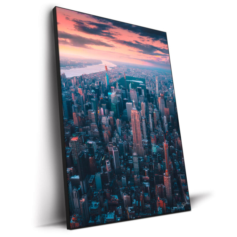 The Urban Jungle Wall Decor by Zach Doehler