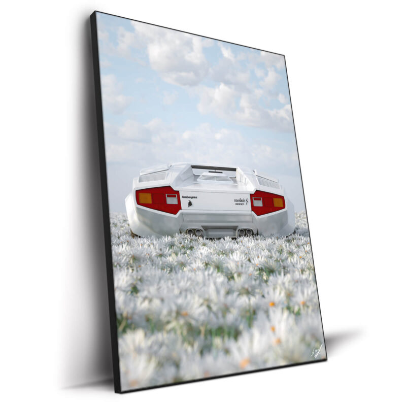 Lambo Black and White Wall Decor by Konji