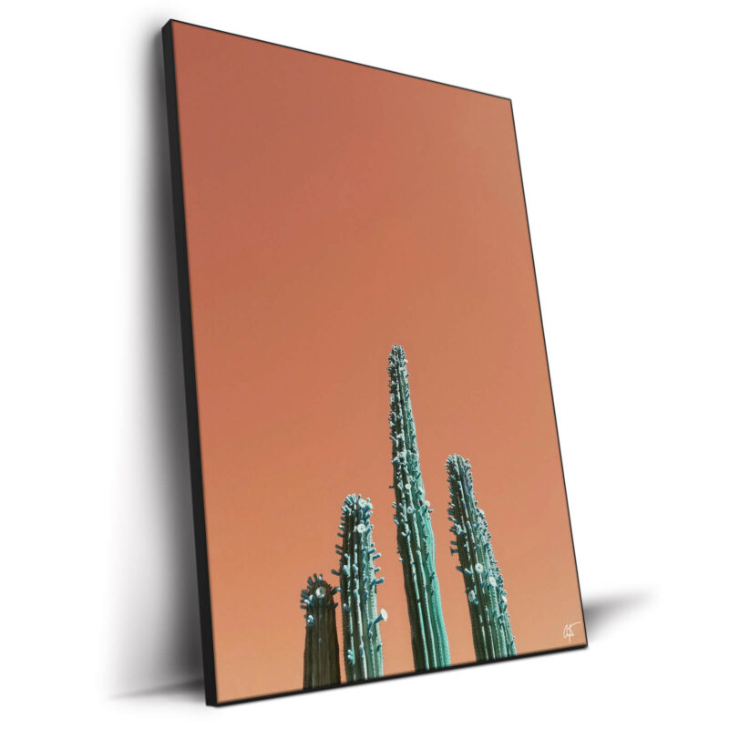 Growth Orange Wall Decor by Arytron